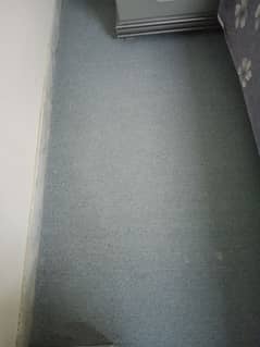 grey color wall to wall carpet