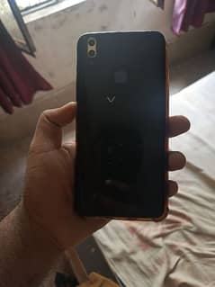 vivo