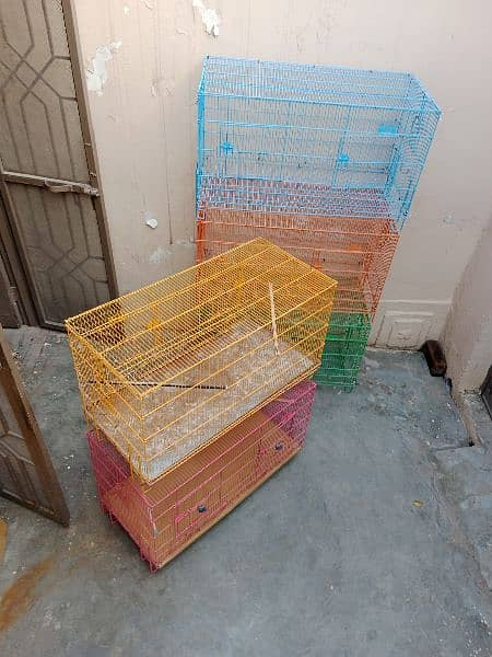 Bird Cages 1