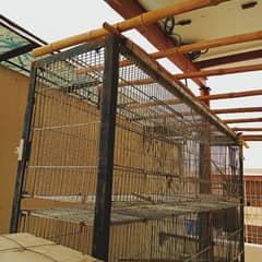 10 portion cages