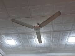 Ceiling Fan Pak Company