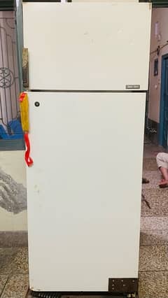 Italian Fridge perfect freezer and refrigerator (Zopass company) 0