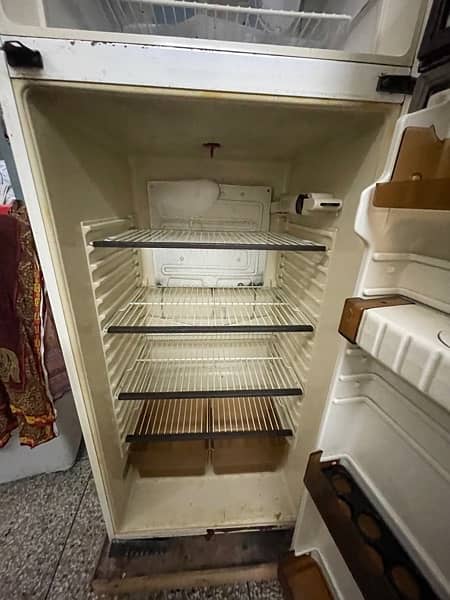 Italian Fridge perfect freezer and refrigerator (Zopass company) 4