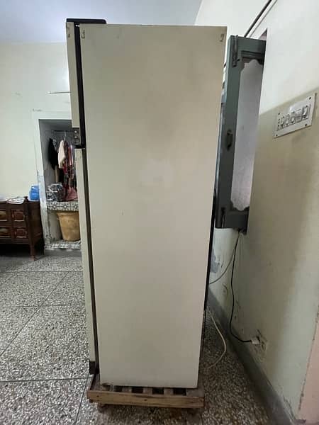 Italian Fridge perfect freezer and refrigerator (Zopass company) 6