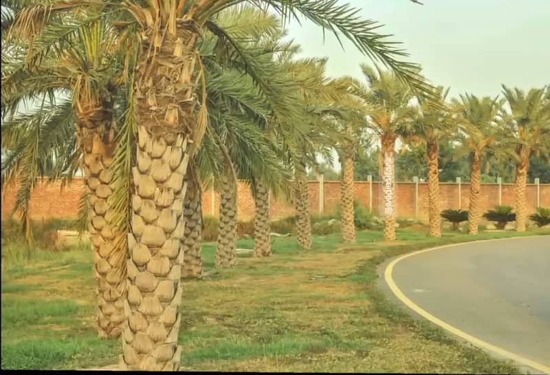 10 Marla Plot For Sale On Instalment In Wadi E Sitara Faisalabad 3