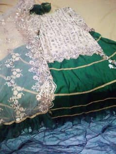 net dupatta net shurt and very nice cloth lehnga with orgenza frel 0