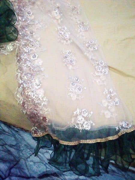 net dupatta net shurt and very nice cloth lehnga with orgenza frel 1