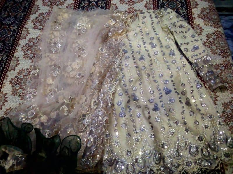 net dupatta net shurt and very nice cloth lehnga with orgenza frel 3