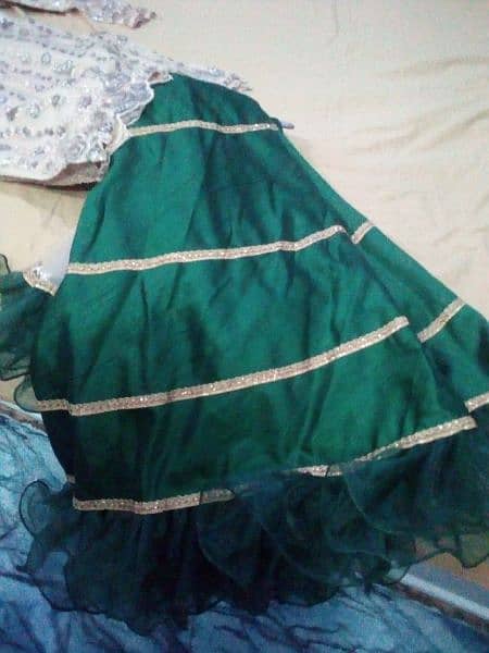 net dupatta net shurt and very nice cloth lehnga with orgenza frel 6