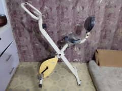 exercise cycle company EXcider Bike good condition use
