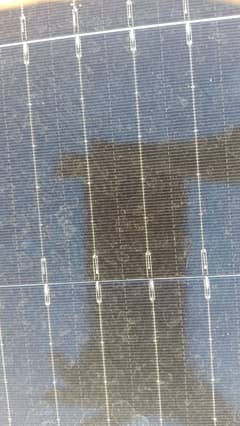 Longi Solar Pannel 545