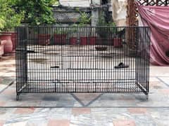 hen and dog cage for sale