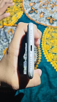 iPhone 11 0