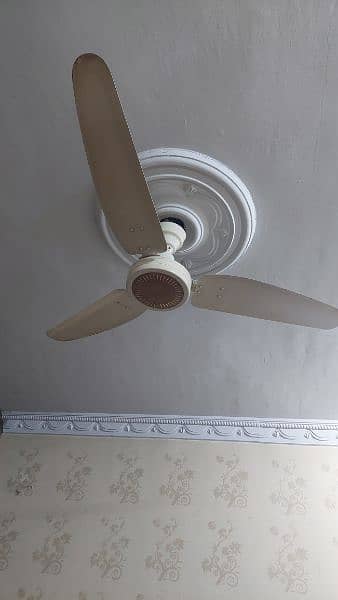 Royal Ceiling Fans 56" used in good condition . Quantity : 03 in no. 1