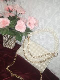 beautiful and elegant beaded bag for ladies