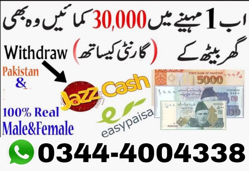 Online Earning 0