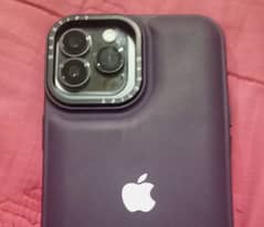 iPhone Xs Max Converted in 13 Pro Max