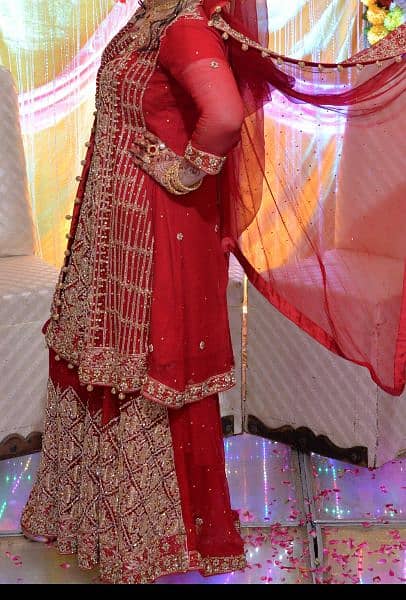 **Elegant Bridal Dress in Anari Color** 0