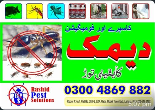 termit control/pest control/fumigation/dengue spary 0