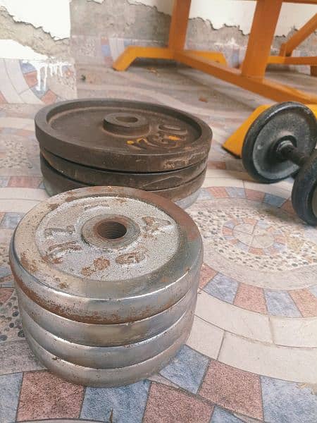 Gym Equipment | Home Gym | Gym Dumbells 4