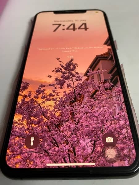 iPhone XS Max PTA Approved 256 GB 4