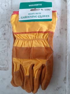 Gloves