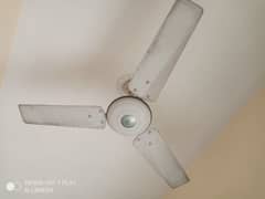 Ceiling Fans lot for sale.   price each
