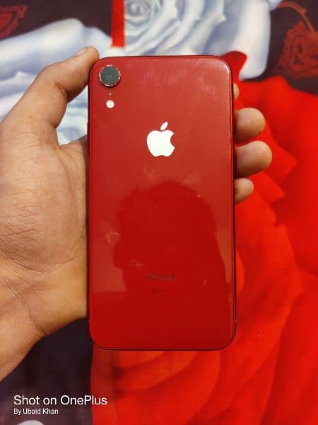 iphone XR 1