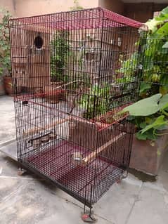Bird Cage - Huge size