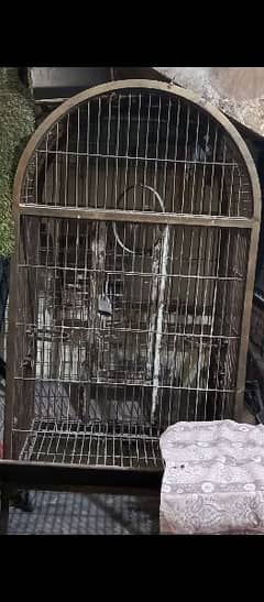 parrot cage