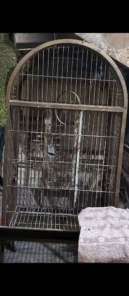 parrot cage 1