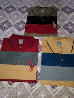 Polo T. shirt for man's