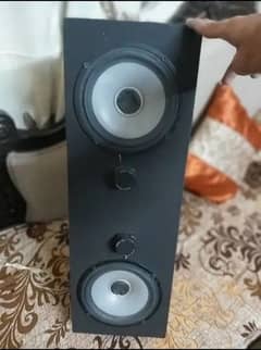 6.5 Inches Double Magnet Speaker Malaysian
