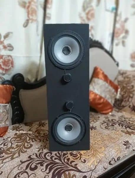 6.5 Inches Double Magnet Speaker Malaysian 1