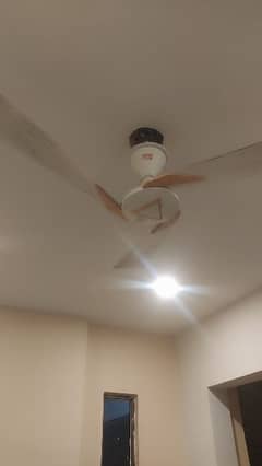 GFC Fancy Ceiling Fan for Sale