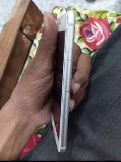 iPhone 8 (Exchange possible) 0