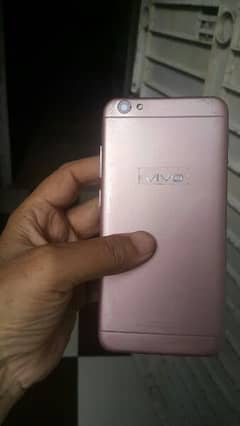 vivo