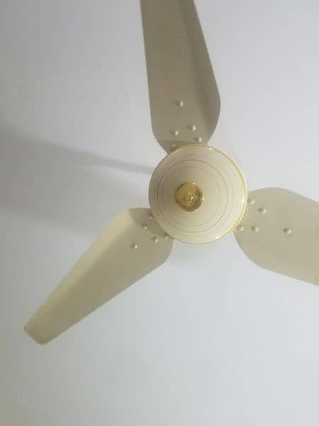 7pc ceeling fan +1 fan 5