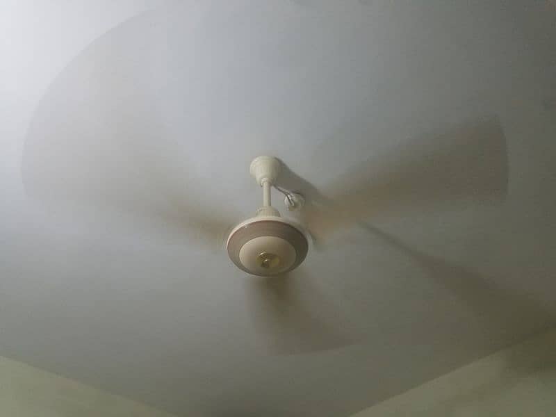 7pc ceeling fan +1 fan 6