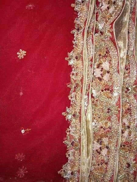 Bridal lehnga/ bridal wear lehnga 3