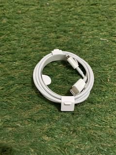 Apple usbc to lightning cable never used
