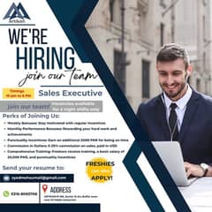 Sales Executive