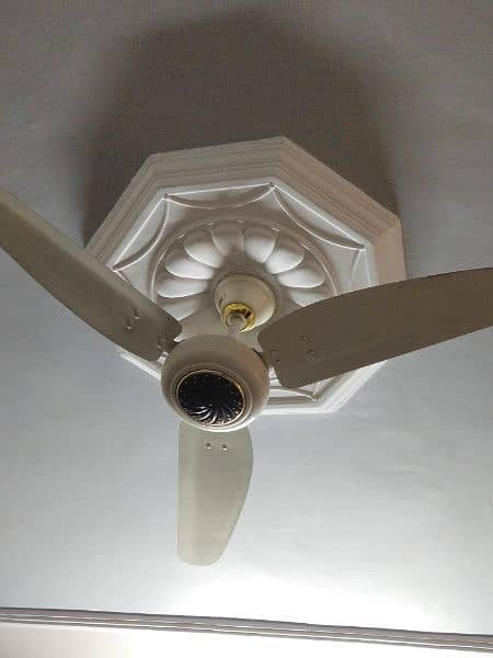 fan electric copper royal 0