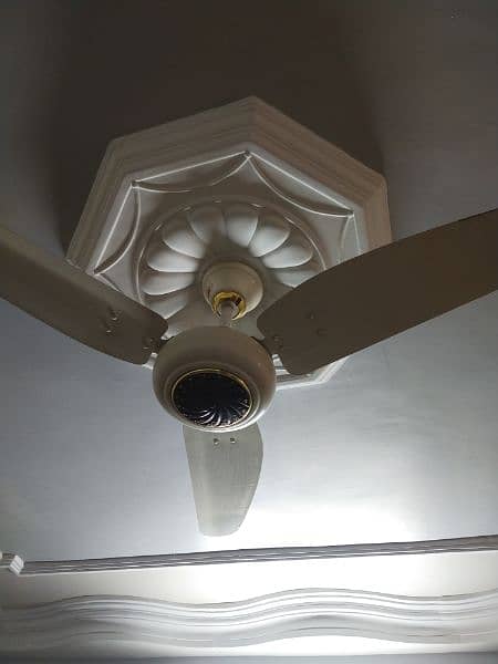 fan electric copper royal 1