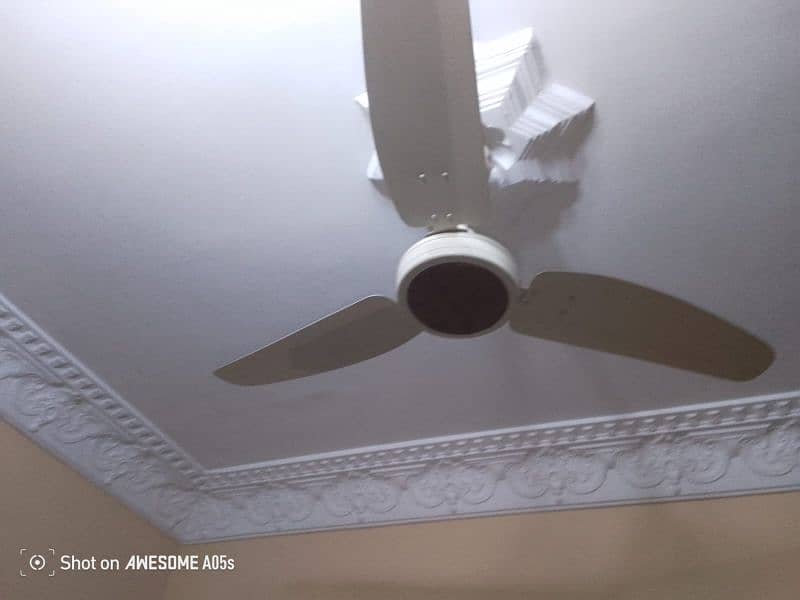 Royal ceiling fan 3