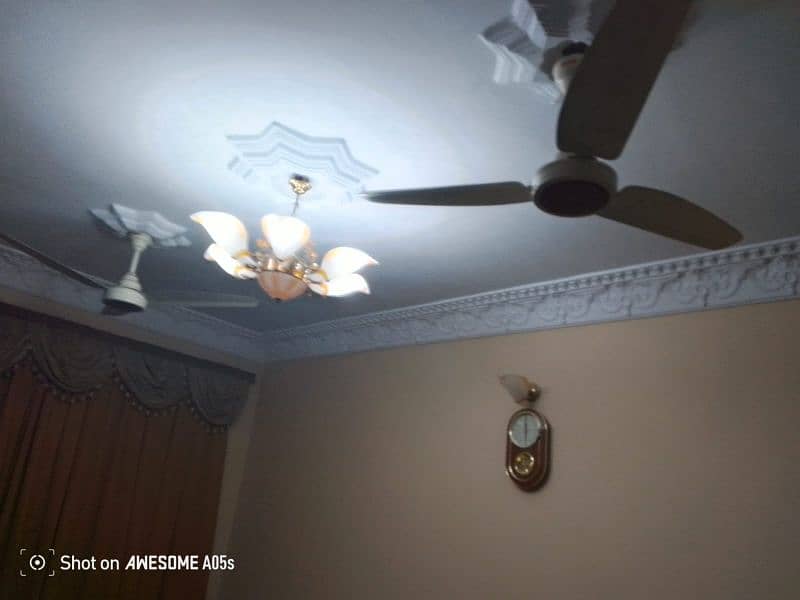 Royal ceiling fan 4