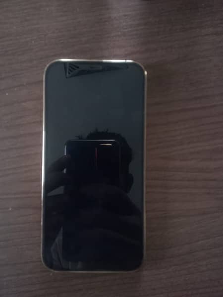 iphone 12 pro 128gb golden 3