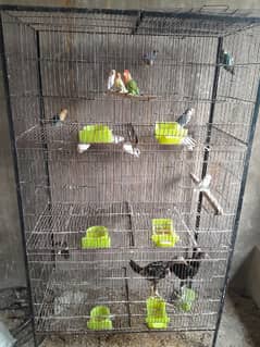 8 box cage for sale