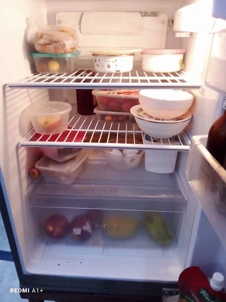 Fridge 1