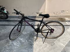 Fuji Bicycle 26 inch